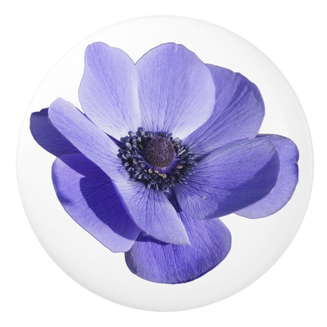 Lila Blume Schubladenkabinett Kapselhülle Keramikknauf (Vorderseite)