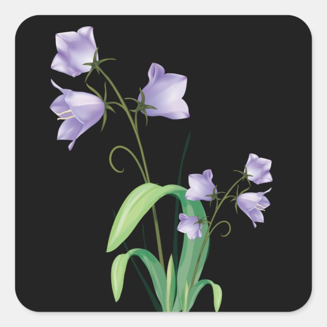 Lila Blume Schwarzer Blumenaufkleber / Siegel Quadratischer Aufkleber (Vorderseite)