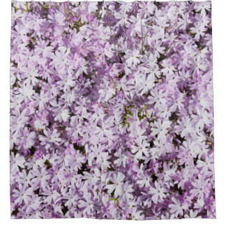 Lila Blume, sommerliche Frische im Hintergrund. Duschvorhang