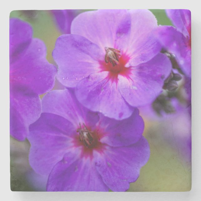 Lila Blume Steinuntersetzer (Vorderseite)