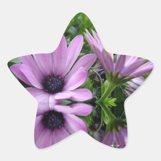 lila Blume Stern-Aufkleber (Vorderseite)