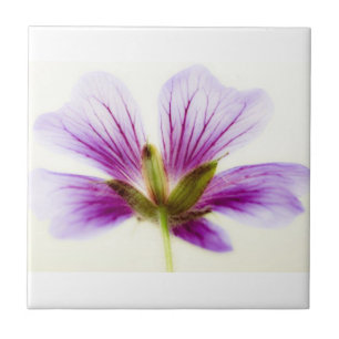 Lila Blume Tiles Fliese