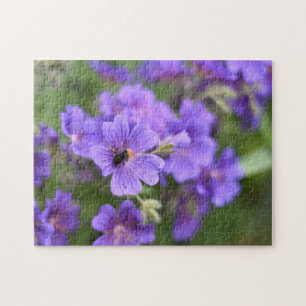 Lila Blume und Bienennaturfotografie Garten