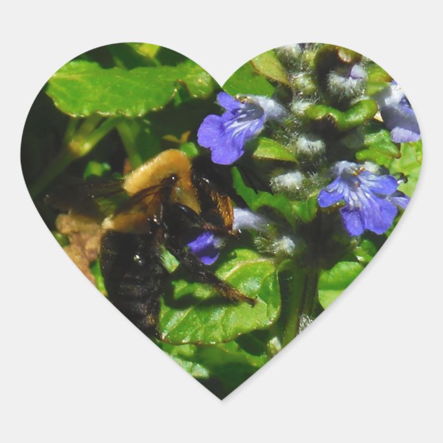 Lila Blume und Hummeln Herz-Aufkleber (Vorderseite)