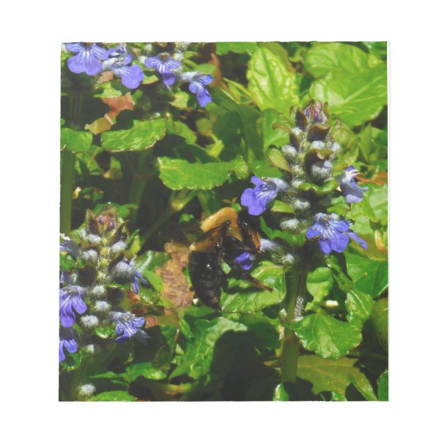 Lila Blume und Hummeln Notizblock (Vorderseite)