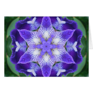 Lila BlumeMandala