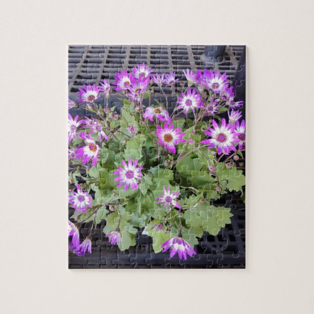 Lila Blumen (Vertikal)