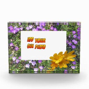 Lila Blumen Gelbe Kruste. Fotoblock