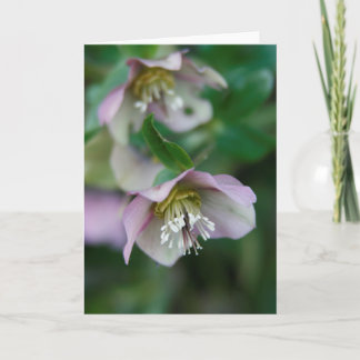Lila Blumen Grußkarte Ankündigung