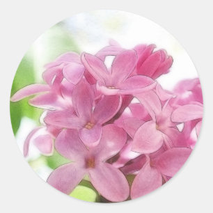 Lila Blumen im Morgen-Sonnenlicht Runder Aufkleber