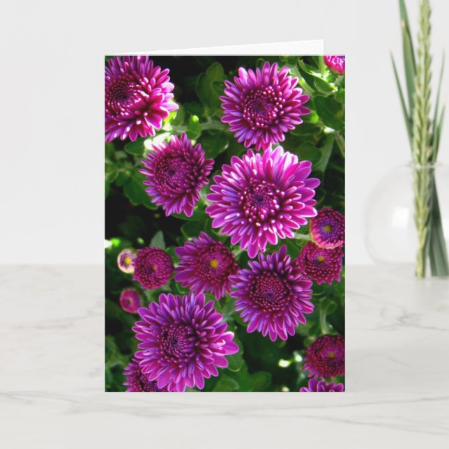 Lila Blumen Karte (Vorderseite)