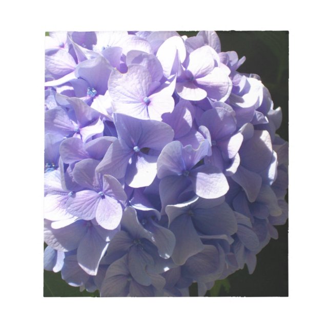Lila Blumen lila blühende lila Hydrageas Notizblock (Vorderseite)