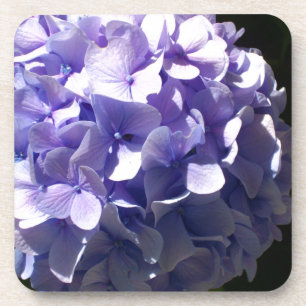 Lila Blumen lila blühende lila Hydrageas Untersetzer