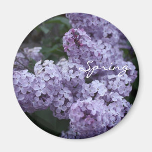 Lila Blumen-Magnet Magnet