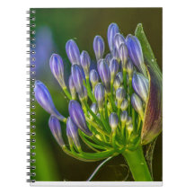 Lila Blumen Spiral Foto Notizbuch