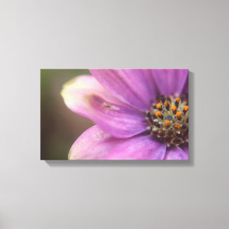 Lila Blumenfotografie Leinwanddruck
