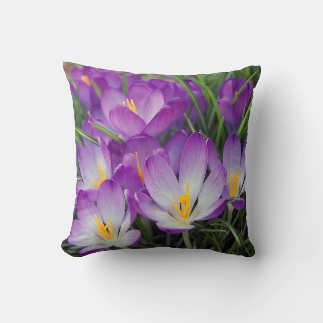 Lila Blumenfrühlings-Krokus-Blumen-Kissen Kissen (Vorderseite)