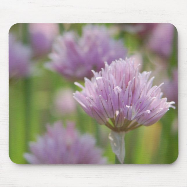 Lila Blumenmousepad Mousepad (Vorne)