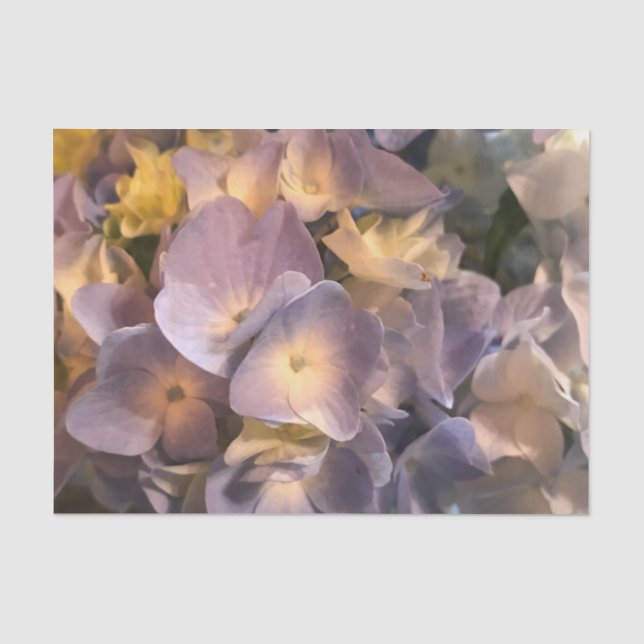 Lila BlumenSeidenpapier Seidenpapier (Vorderseite)