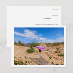 Lila Blüte Armeniens Postkarte