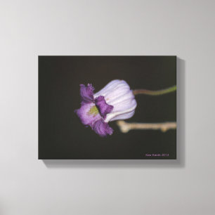 Lila Blüte Leinwanddruck