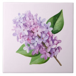 Lila Blüten Kunst auf rosa Hintergrund Fliese