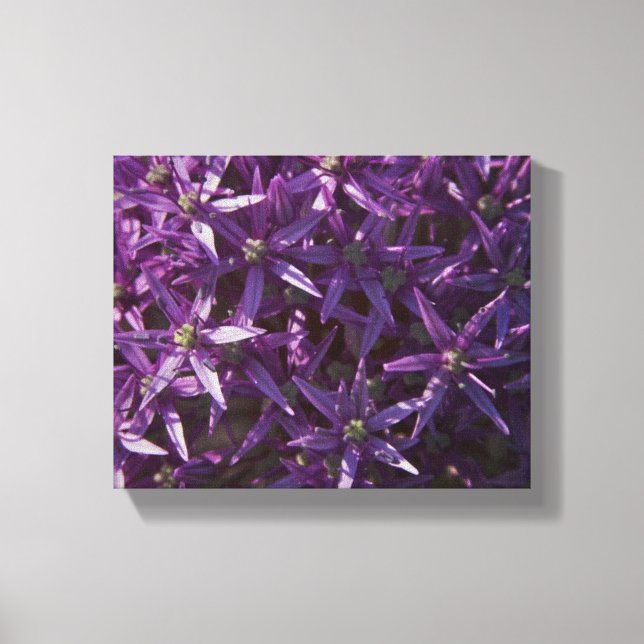 Lila Blütenblüte überzogene Leinwand (Vorderseite)