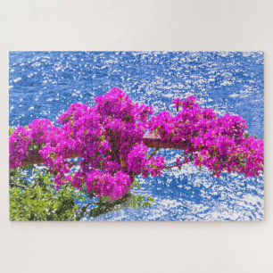 Lila Bougainvillea in Positano, Italien