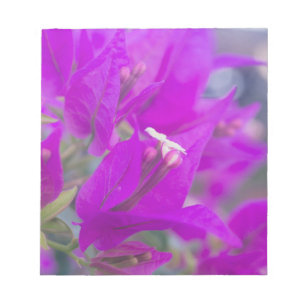 Lila Bougainvillea Notizblock