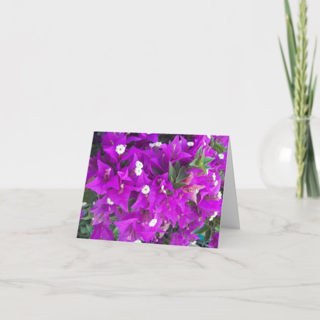 Lila Bougainvillia Foto Faltschachtel (Vorderseite)