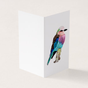 Lila Breasted Rollen-Vogel