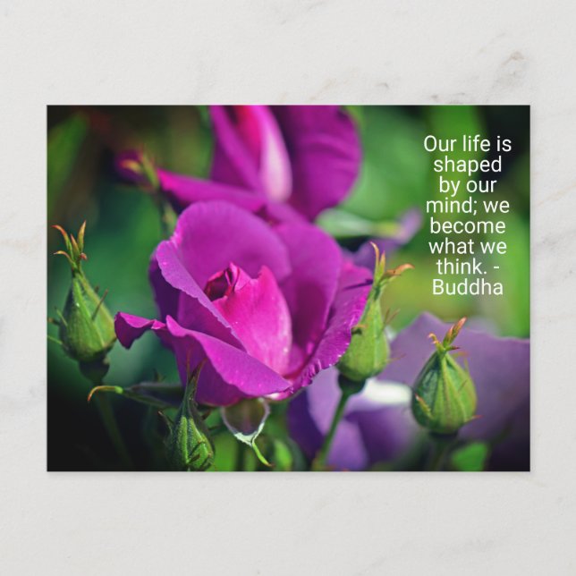Lila Budgetierung Rose Motivierend Zitat Postkarte (Vorderseite)