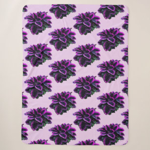 LILA CALATHEA SHERPADECKE