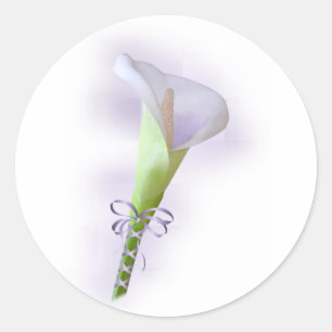 Lila Calla-Lilie Runder Aufkleber