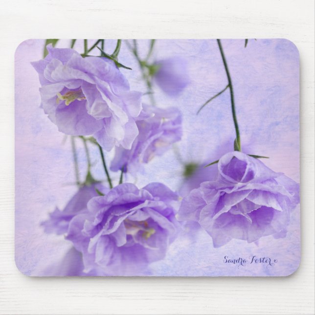 Lila Campanella Blume Makro Mousepad (Vorne)