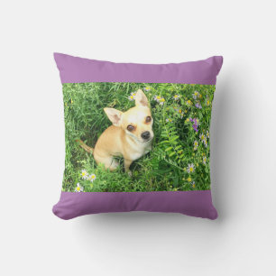 Lila Chihuahua-Kissen werfen. Kissen
