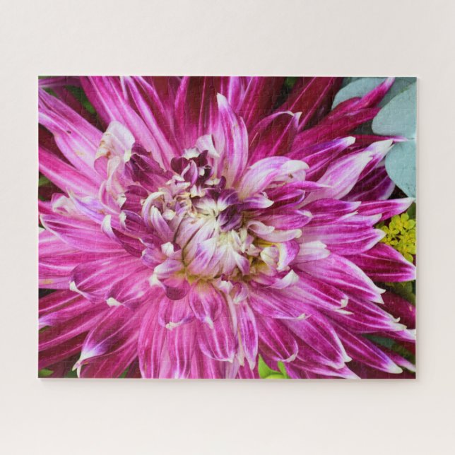 Lila Chrysanthemum - Blume 16x20 (Horizontal)