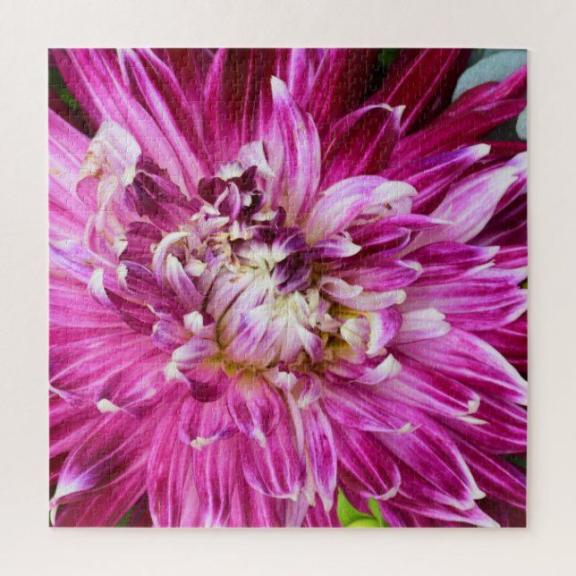 Lila Chrysanthemum - Blume 20x20 (Vertikal)