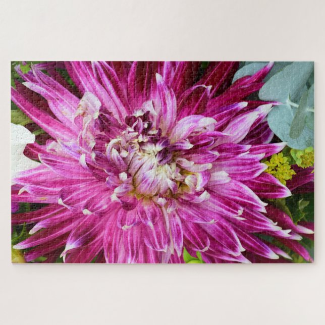 Lila Chrysanthemum - Blume 20x30 (Horizontal)