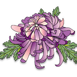 Lila Chrysanthemum Tasse