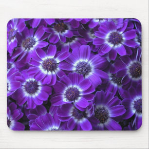 Lila Cineraria Mousepad