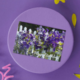 Lila Clematien auf dem Weißen Zaun Blumengeburt Karte