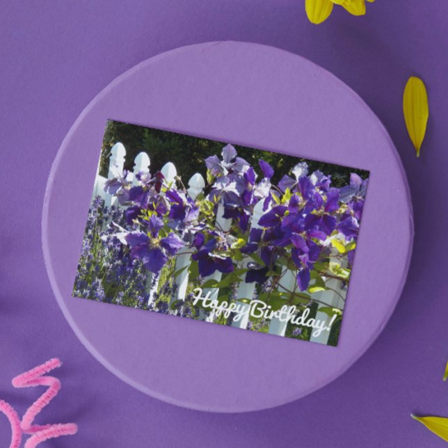 Lila Clematien auf dem Weißen Zaun Blumengeburt Karte (In Situ)