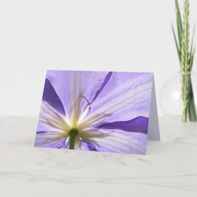 Lila Clematis - Beileidskarte Karte (Vorderseite)
