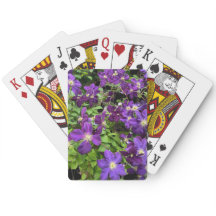 Lila Clematis Blume Foto
