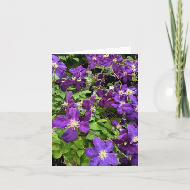 Lila Clematis Blume und Blätter Fotografie Karte (Vorderseite)