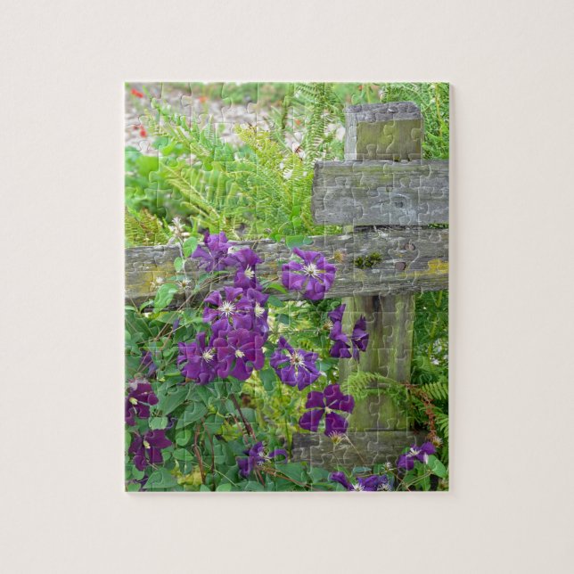 Lila Clematis-Blumen auf hölzernem Zaun (Vertikal)