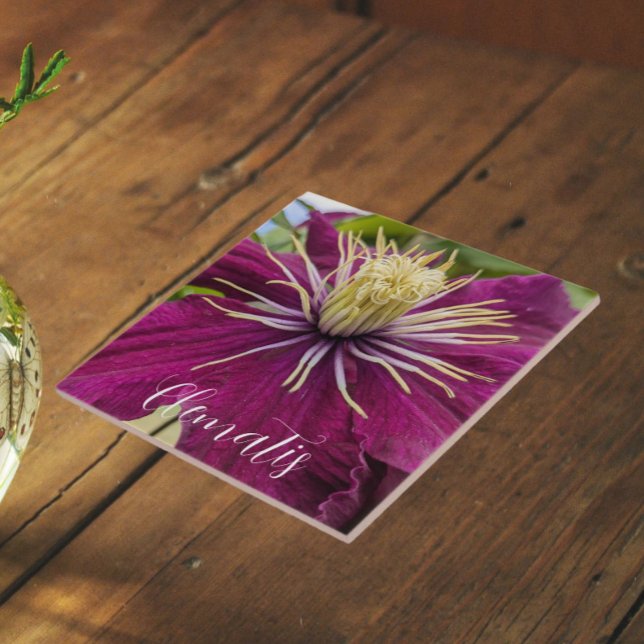 Lila Clematis-Blüte Floral Fliese (In Situ)