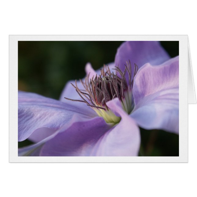 Lila Clematis-Karte (Vorderseite (Horizontal))
