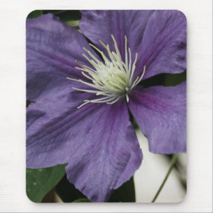 Lila Clematis Mousepad